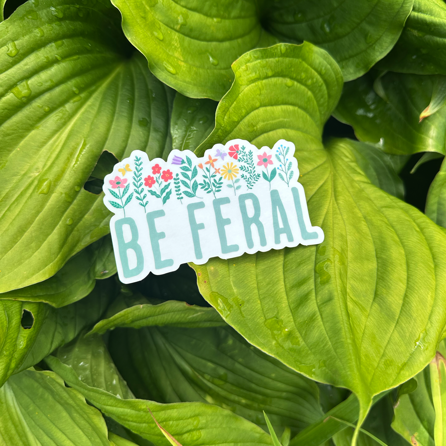 Be Feral Transparent Sticker
